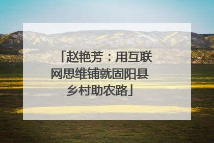 赵艳芳：用互联网思维铺就固阳县乡村助农路